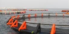 Aquaculture
