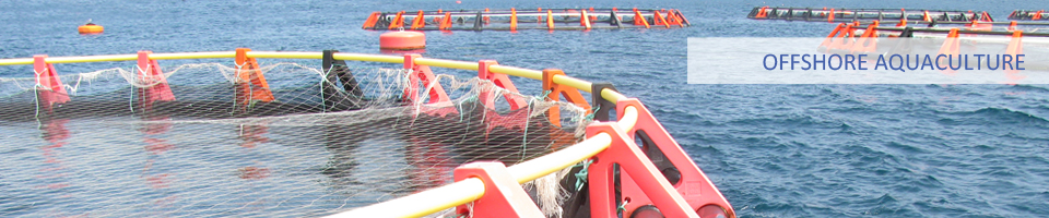 Offshore Aquaculture