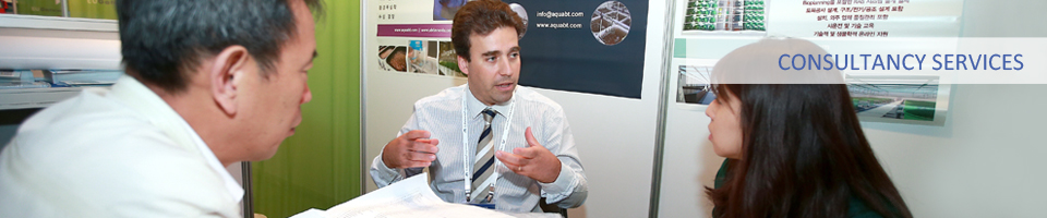Consultancy Services